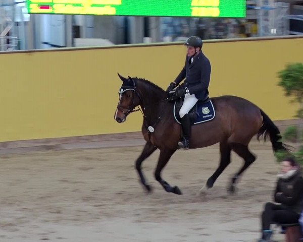 Reitturnier Prussendorf 2019