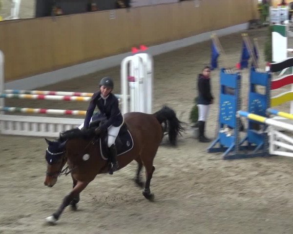 Reitturnier Monheim - Gut Blee 2019