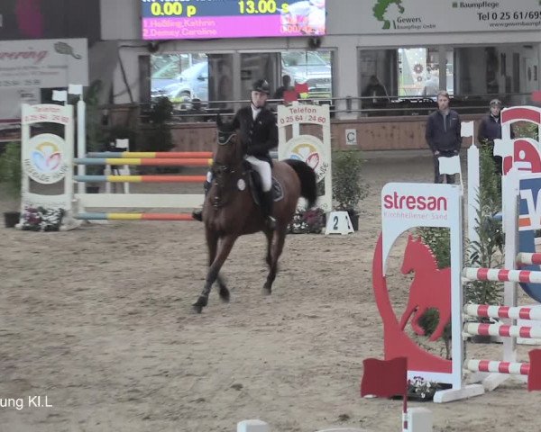 30. Hallen-Reit- und Springturnier Vreden