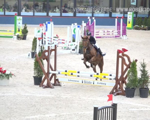 Reitturnier Oberriet 2019