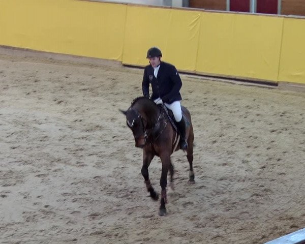 Reitturnier Prussendorf 2019