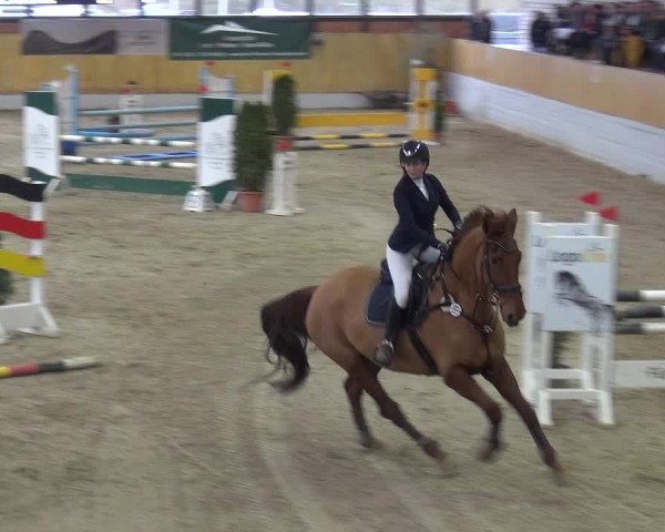 Reitturnier Monheim - Gut Blee 2019