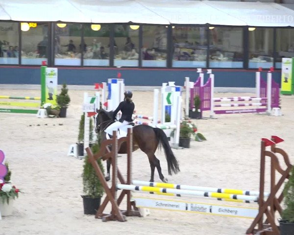 Reitturnier Oberriet 2019