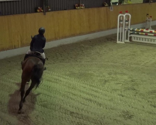 Reitturnier Monheim - Gut Blee 2019