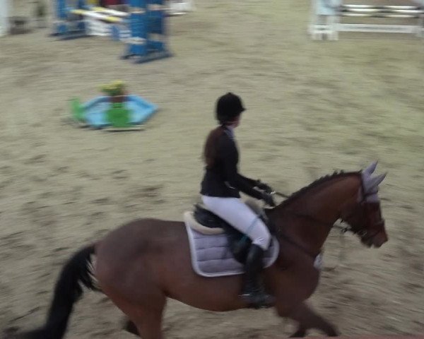 Reitturnier Monheim - Gut Blee 2019