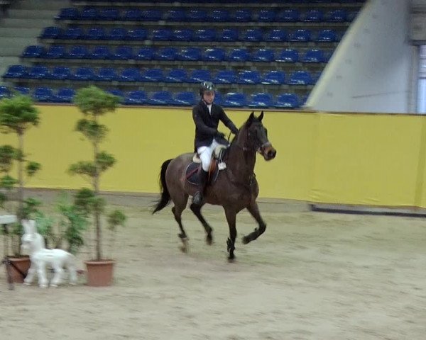 Reitturnier Prussendorf 2019