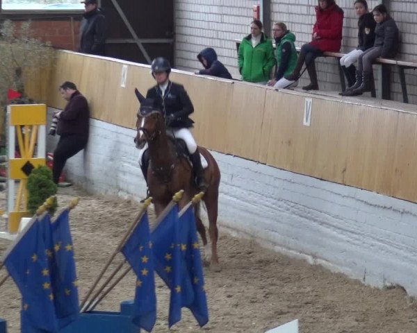 Reitturnier Monheim - Gut Blee 2019