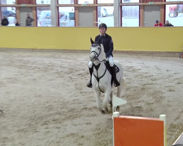 Reitturnier Prussendorf 2019