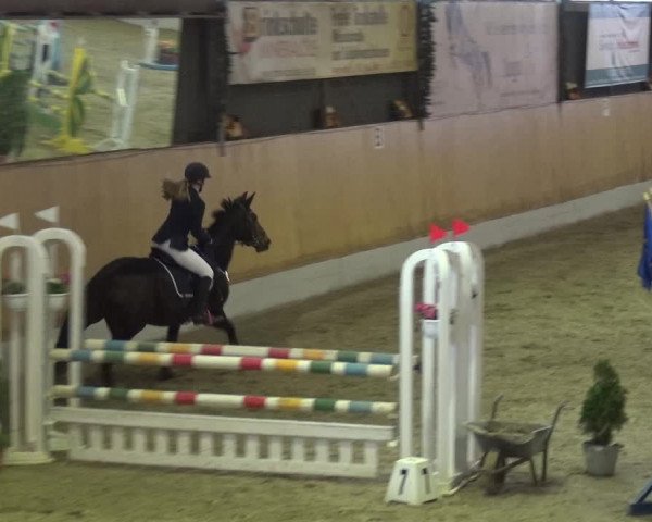 Reitturnier Monheim - Gut Blee 2019