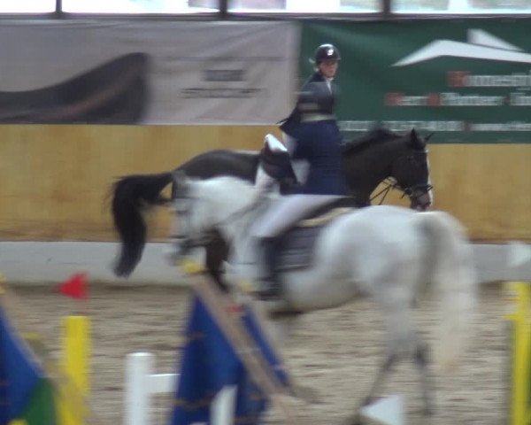 Reitturnier Monheim - Gut Blee 2019