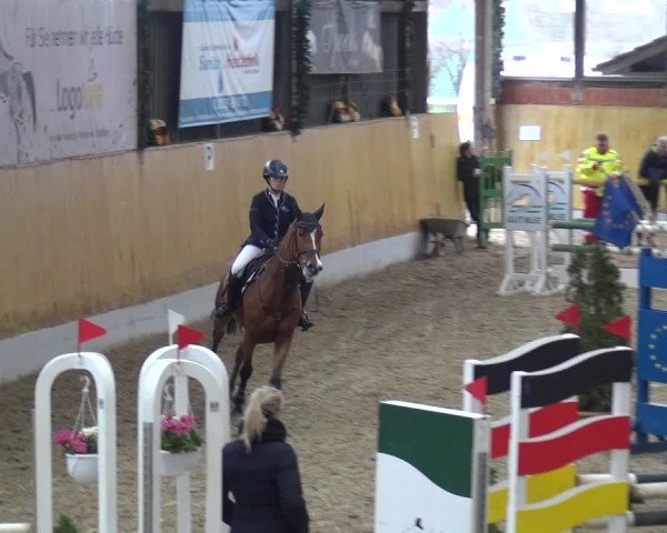Reitturnier Monheim - Gut Blee 2019