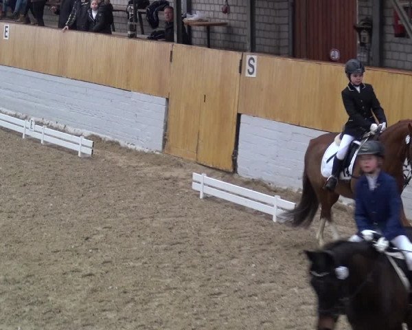 Reitturnier Monheim - Gut Blee 2019