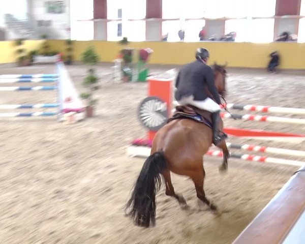 Reitturnier Prussendorf 2019