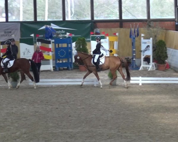 Reitturnier Monheim - Gut Blee 2019