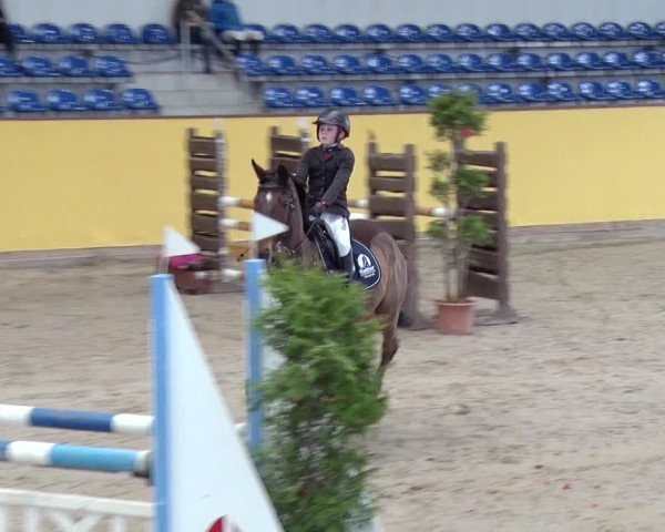 Reitturnier Prussendorf 2019
