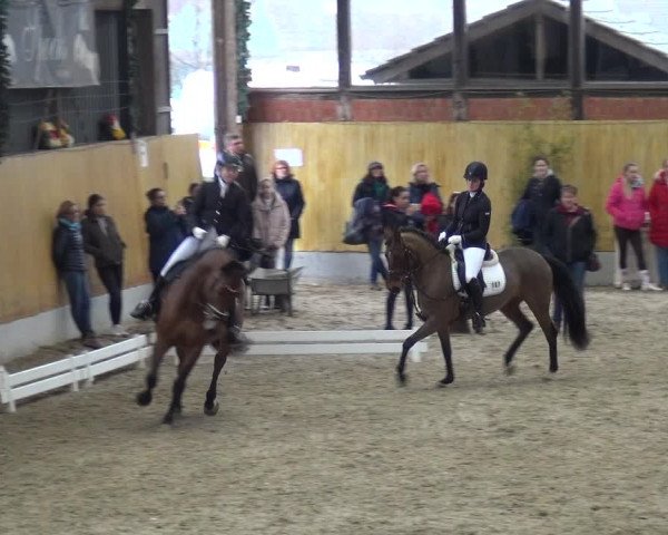 Reitturnier Monheim - Gut Blee 2019