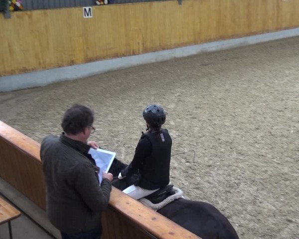 Reitturnier Monheim - Gut Blee 2019