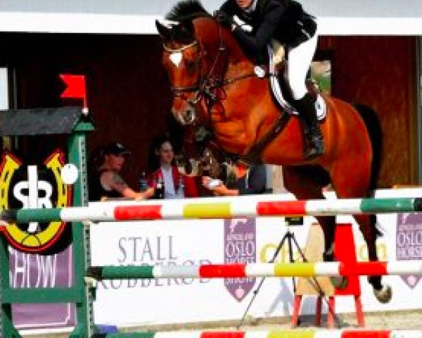 Springpferd Argus (KWPN (Niederländisches Warmblut), 2005, von VDL Empire)