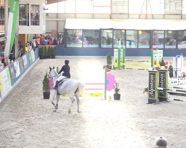 Reitturnier Oberriet 2019