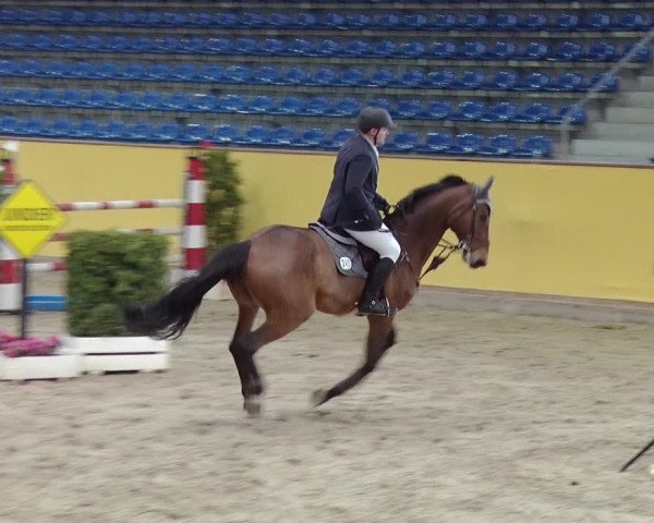 Reitturnier Prussendorf 2019