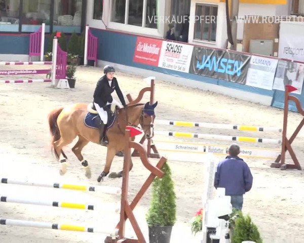 Reitturnier Oberriet 2019