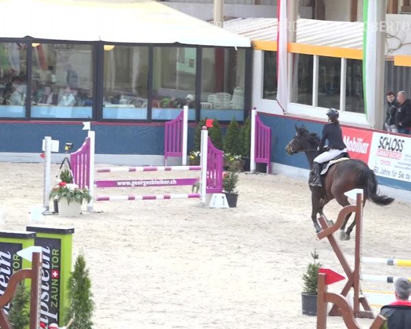 Reitturnier Oberriet 2019