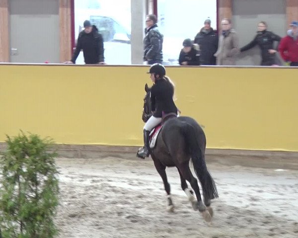 Reitturnier Prussendorf 2019