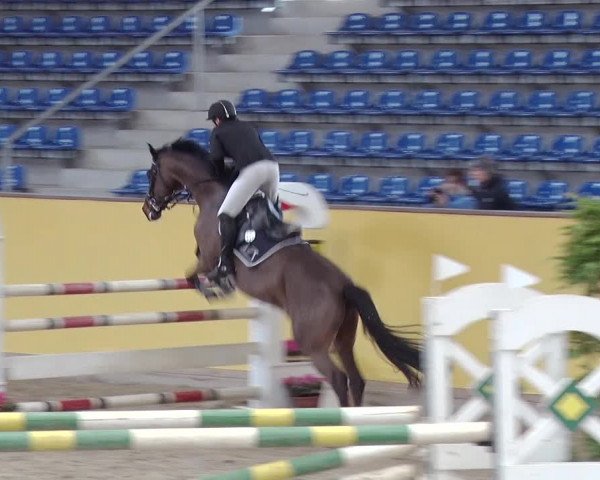 Reitturnier Prussendorf 2019