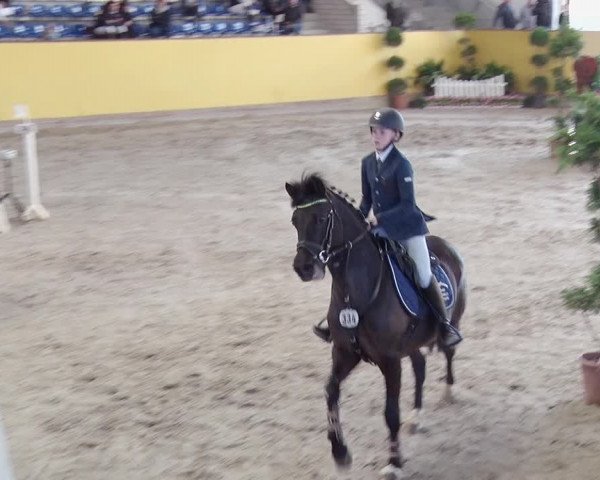 Reitturnier Prussendorf 2019