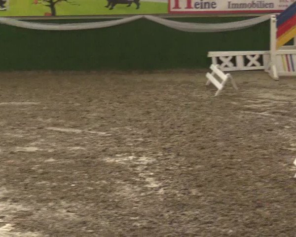 Reitturnier Keppeln - Reitanlage "Hötzenhof" 2019