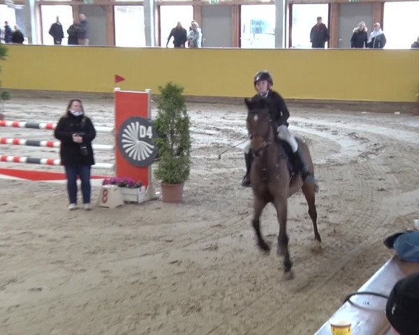 Reitturnier Prussendorf 2019
