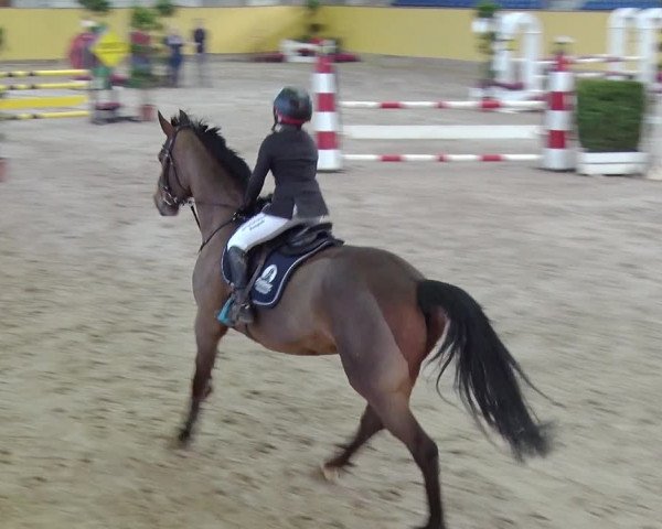 Reitturnier Prussendorf 2019