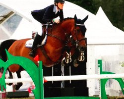 jumper Lucky Silvana Z (Zangersheide riding horse, 2007)