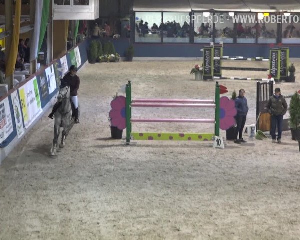 Reitturnier Oberriet 2019