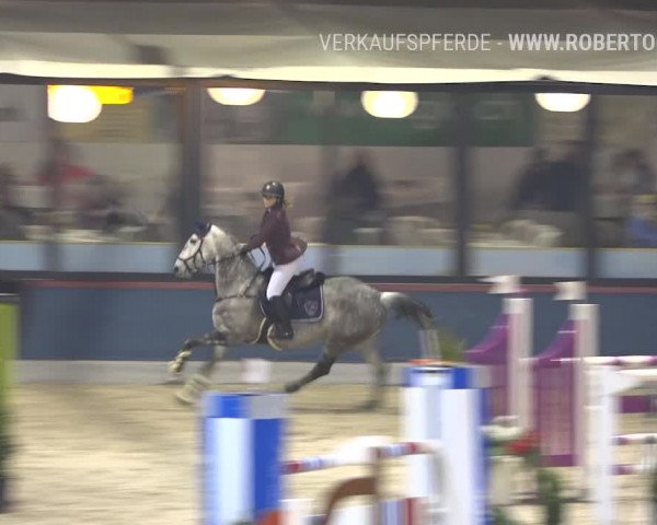Reitturnier Oberriet 2019