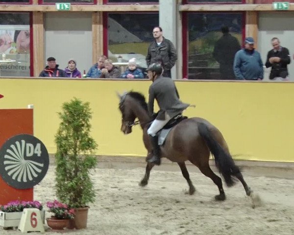 Reitturnier Prussendorf 2019
