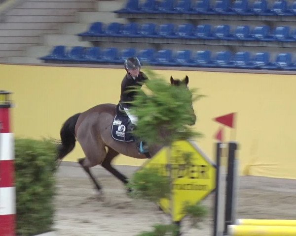 Reitturnier Prussendorf 2019