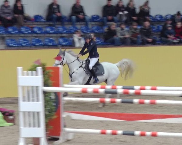 Reitturnier Prussendorf 2019