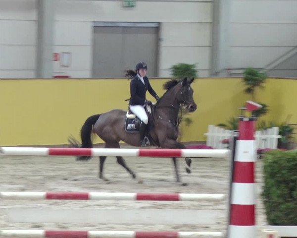 Reitturnier Prussendorf 2019