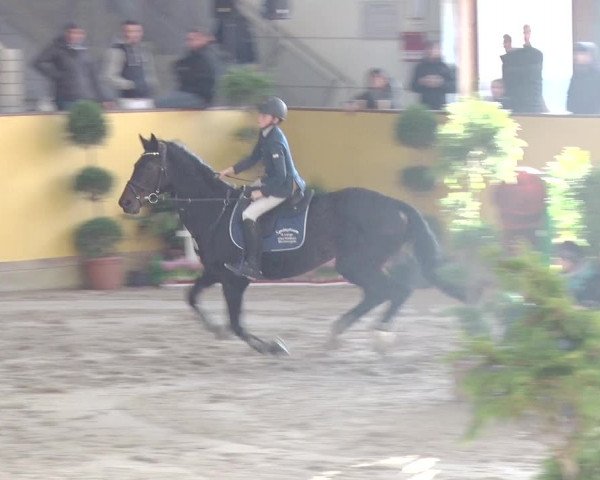 Reitturnier Prussendorf 2019
