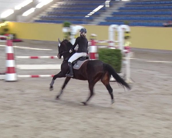 Reitturnier Prussendorf 2019