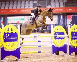 jumper Charly Glb (Westphalian, 2011, from Comme il Faut)