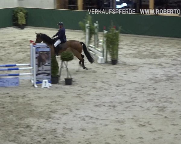 Reitturnier Dielsdorf, Horsepark Masters 2019