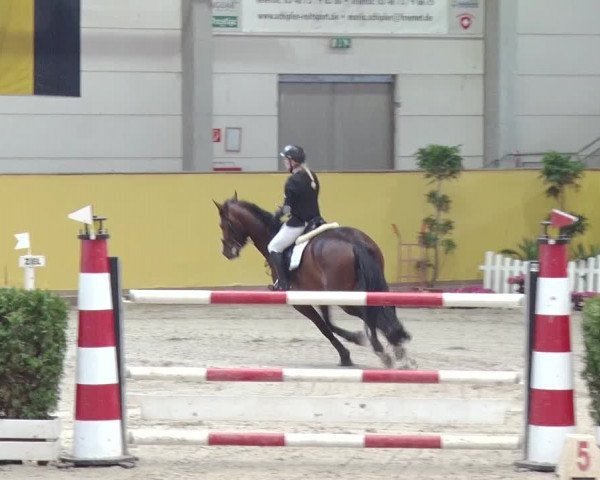 Reitturnier Prussendorf 2019