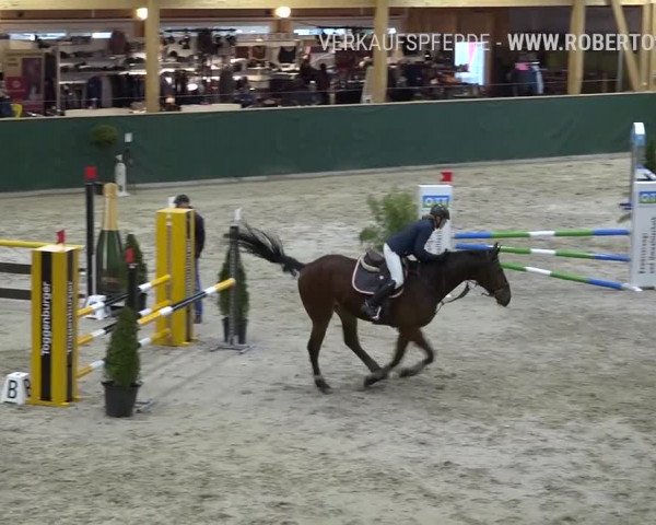 Reitturnier Dielsdorf, Horsepark Masters 2019