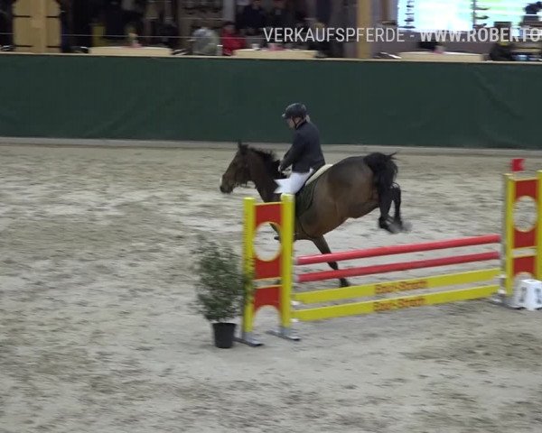 Reitturnier Dielsdorf, Horsepark Masters 2019