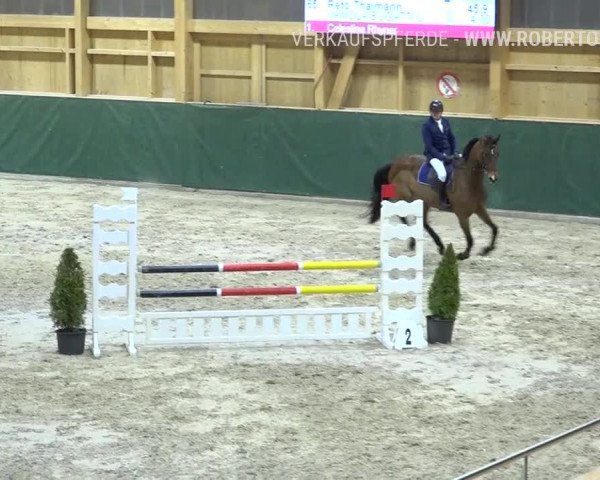Reitturnier Dielsdorf, Horsepark Masters 2019