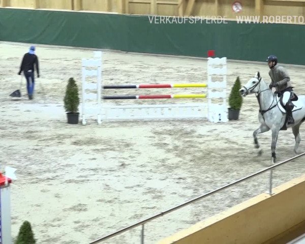 Reitturnier Dielsdorf, Horsepark Masters 2019