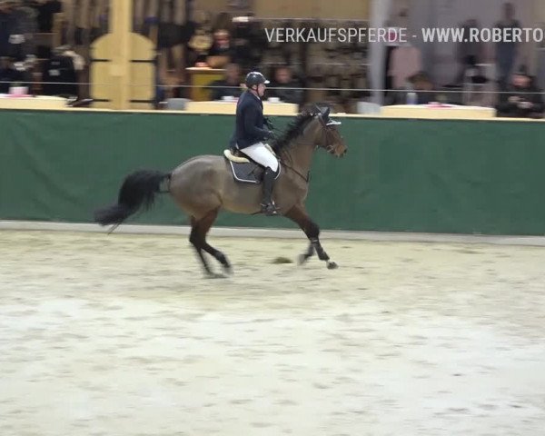Reitturnier Dielsdorf, Horsepark Masters 2019