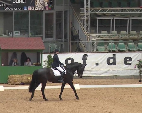 Reitturnier Kreuth/Opf. 2019